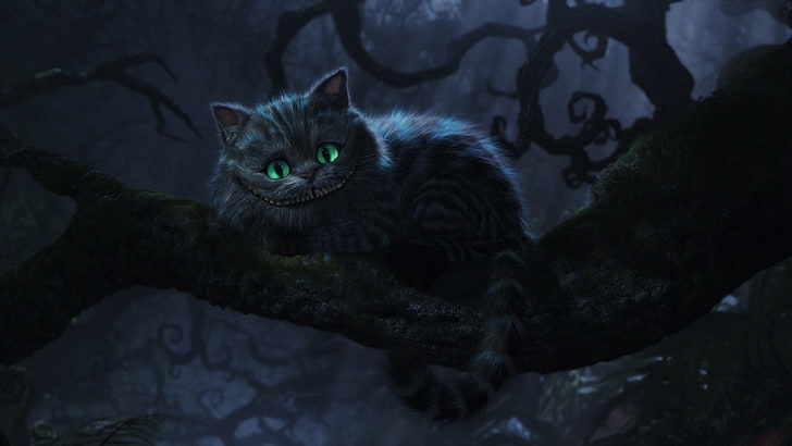 วอลล์เปเปอร์แมวสีเทารอยยิ้มแมวเชสเชียร์ Alice in chedes ทำ, วอลล์เปเปอร์ HD