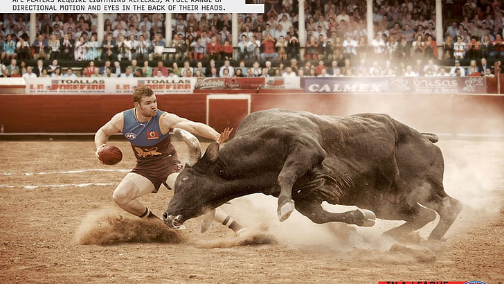 black bull, Australian Football League, HD wallpaper