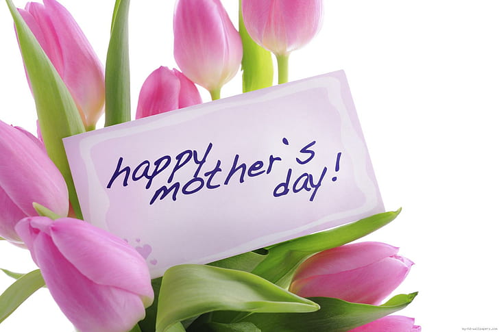 Fleurs roses pour maman, carte de voeux imprimée heureuse fête des mères, vacances, fête des mères, tulipe, fleur, rose, maman, Fond d'écran HD