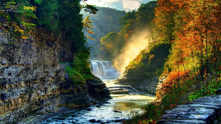 cascade, nature, waterfall, forest, leaves, river, fall, vegetation, stream, foliage, wilderness, tree, water, autumn, HD wallpaper