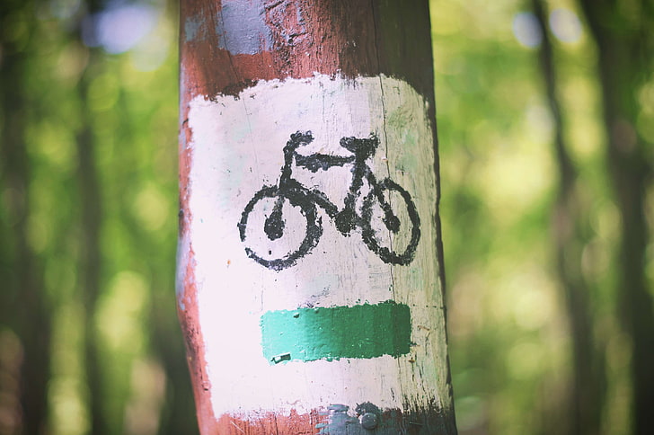 bicycle, bike, cycle, destination, excursion, green, information, mark, outdoors, painted, ride, sign, signal, sport, symbol, tour, tourism, trail, travel, tree, trip, trunk, way, white, wood, HD wallpaper