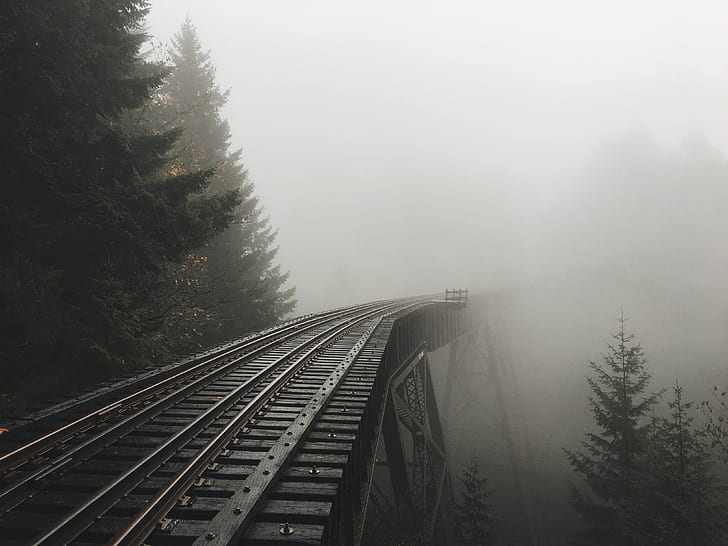 Trees, mist, railway, railroad track, bridge, HD wallpaper | Wallpaperbetter