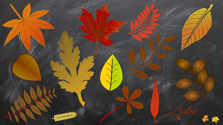 есен, фон, чул, дъска, фонове на работния плот, десктоп, есен, есен фон, есенни цветове, есенна зеленина, есенни листа, изображения, снимки, градина, златна есен, листа, листа, HD тапет