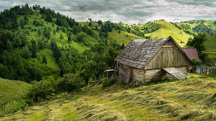 なだらかな丘、ヨーロッパ、ルーマニア、ハイランド、小屋、農村地域、草原、木、丘、納屋、草、空、トランシルバニア、山、山の村、緑、自然、村、 HDデスクトップの壁紙