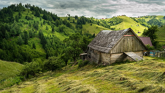 なだらかな丘、ヨーロッパ、ルーマニア、ハイランド、小屋、農村地域、草原、木、丘、納屋、草、空、トランシルバニア、山、山の村、緑、自然、村、 HDデスクトップの壁紙 HD wallpaper