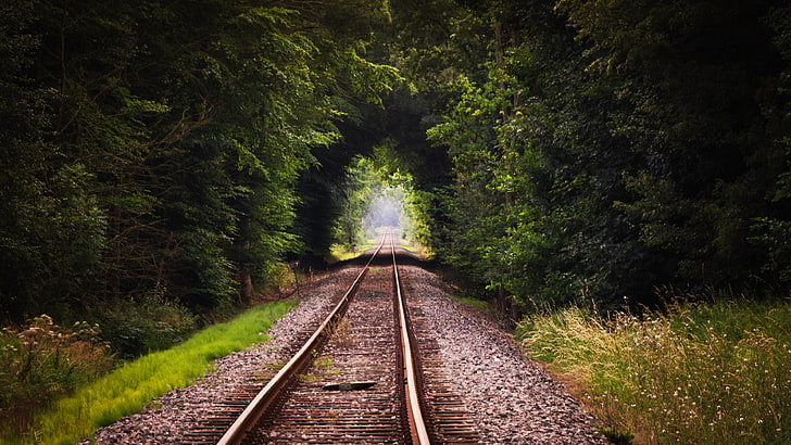 кафява метална железопътна релса, влакова железопътна писта фотография, железопътна линия, дървета, природа, гора, HD тапет