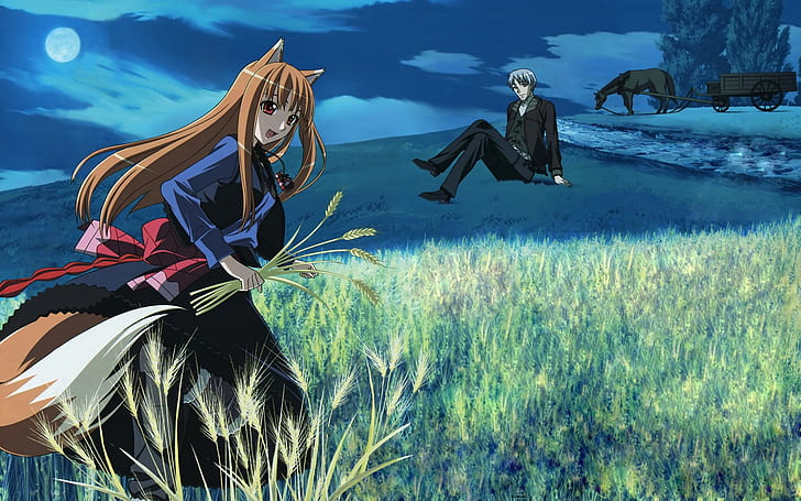 Anime, Spice und Wolf, Holo, HD-Hintergrundbild