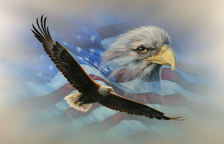 Flaggan & örnen, amerikansk örnillustration, minnesdag, örn, 4 juli, helgdag, semester, flagga, djur, HD tapet