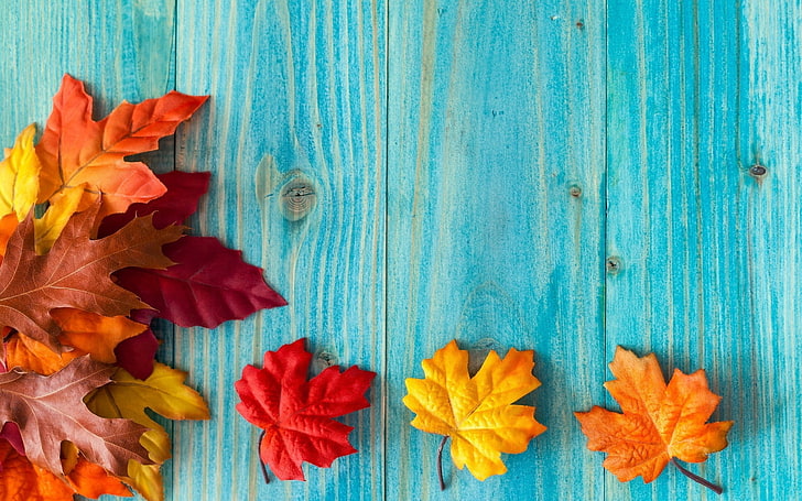 red and orange maple leaves, fallen leaves, red leaves, maple leaves, leaves, wood, HD wallpaper