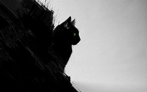 고양이 실루엣, 고양이, 검은 고양이, 동물, 녹색 눈, 삽화, 디지털 아트, 검정, 회색, HD 배경 화면 HD wallpaper