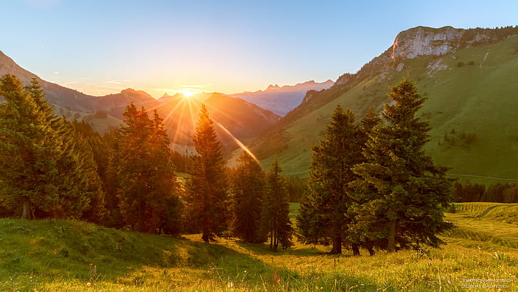 landscape photography of pine trees and mountain during sunrise, Lever, Soleil, entre, les, montagnes, landscape photography, pine trees, sunrise, yellow, sky, morning, forest, blue  sun, sun  light, summer, beautiful, orange, green  mountain, sunbeam, Châtel-Saint-Denis, Fribourg, Suisse, nature, mountain, landscape, outdoors, tree, autumn, sunset, scenics, meadow, sunlight, rural Scene, HD wallpaper