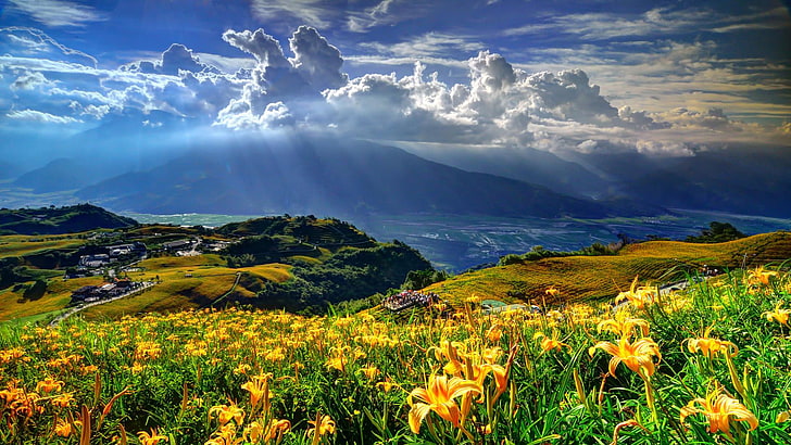 Vackert landskap, fält av vårblommor, Lily Valley-himmel med tjocka moln, solstrålar genom molnen Hd-upplösning, HD tapet