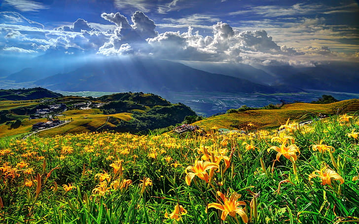 Spring Landscape Mountains Hills Lillies Yellow Flower Village Clouds Sky Nature  Wallpaper Hd For Mobile Phones 2560×1600, HD wallpaper | Wallpaperbetter