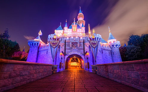 спяща красавица замък Дисниленд-HD фотография с .., тапет на замъка Дисни, HD тапет HD wallpaper