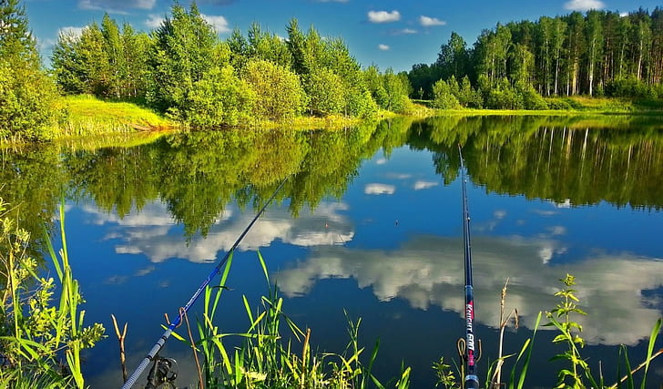 Lago en la naturaleza, Lago, Naturaleza, Fondo de pantalla HD