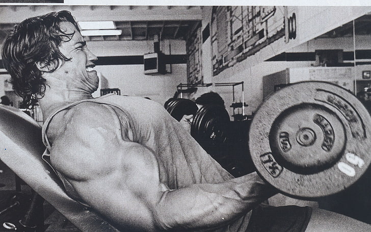 Arnold Schwarzenegger, Arnold Schwarzenegger, bodybuilding, Bodybuilder, skivstång, hantlar, gym, träning, träning, motion, muskler, HD tapet