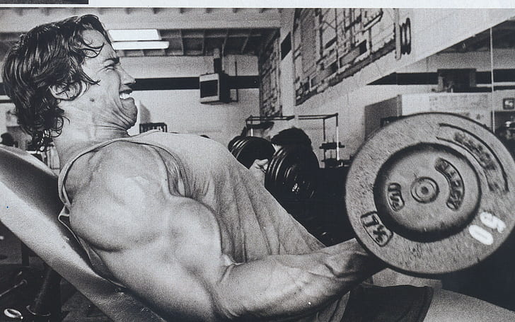 trening, kulturystyka, Arnold Schwarzenegger, sztanga, Kulturysta, mięśnie, ćwiczenia, siłownie, hantle, ćwiczenia, chudy, Tapety HD