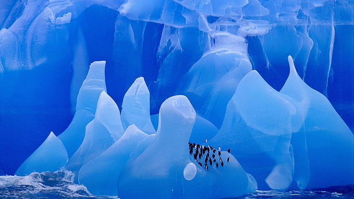 ice, glaciers, penguins, animals, iceberg, birds, HD wallpaper