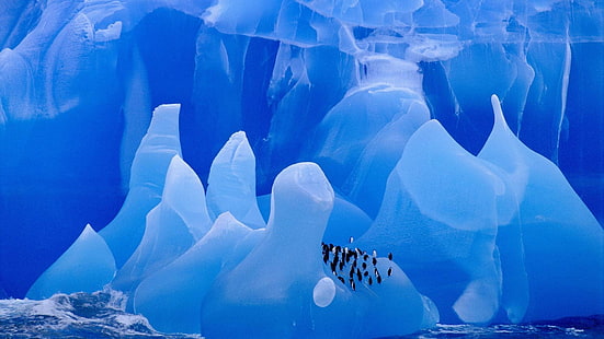 лед, ледници, пингвини, животни, айсберг, птици, HD тапет HD wallpaper