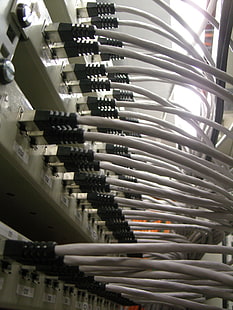 الكابلات البيضاء ، تكنولوجيا المعلومات ، الكمبيوتر ، الشبكة ، كابل ، إيثرنت ، التكنولوجيا، خلفية HD HD wallpaper