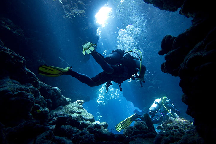 Sports, Diving, Coral, Scuba Diver, Underwater, HD wallpaper