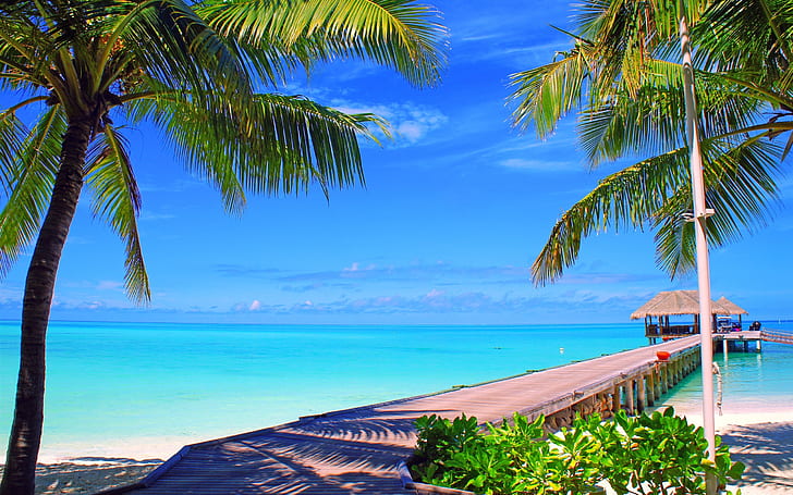 Maldivas, ilha, palmeiras, ponte, bungalows, mar, oceano, Maldivas, ilha, palmeiras, árvores, ponte, bungalows, mar, oceano, HD papel de parede