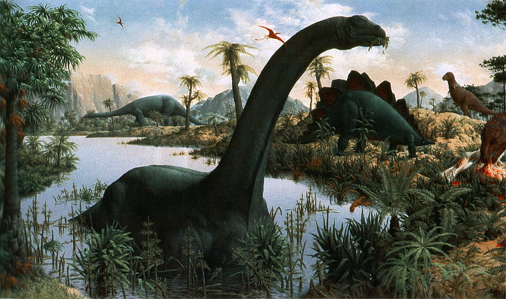 zwierzęta, brontozaury, dinozaury, Tapety HD