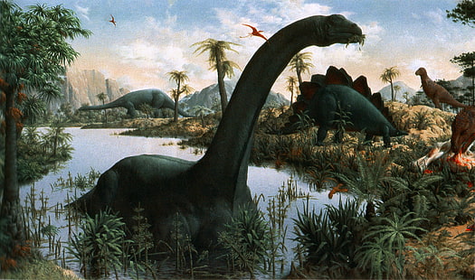 djur, brontosaurus, dinosaurier, HD tapet HD wallpaper