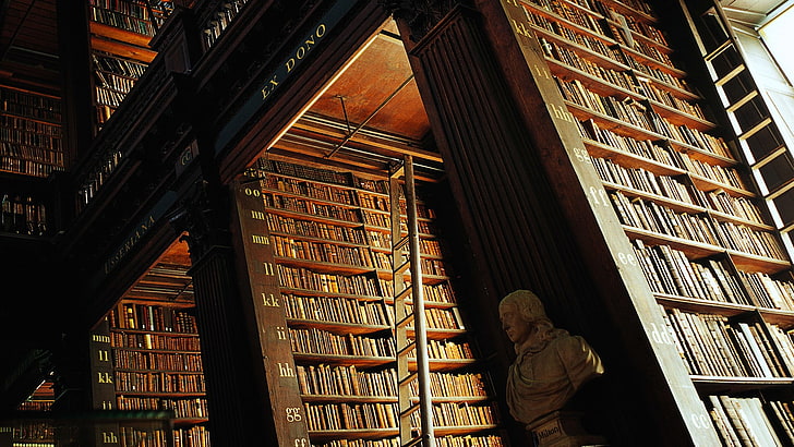 bibliothèque en bois brun, bois, surface en bois, bibliothèque, livres, bibliothèque Trinity College, Dublin, étagères, échelles, buste, intérieur, lettre, connaissances, Fond d'écran HD