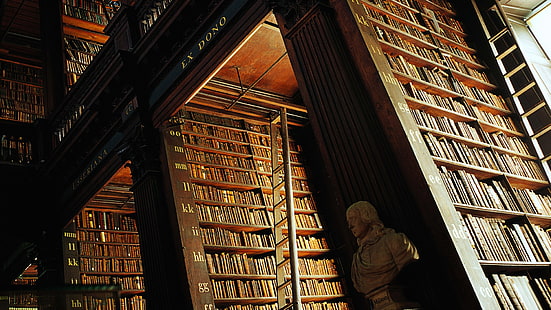 коричневая деревянная книжная полка, дерево, деревянная поверхность, библиотека, книги, библиотека Тринити-колледжа, Дублин, полки, лестницы, бюст, интерьер, письмо, знания, HD обои HD wallpaper