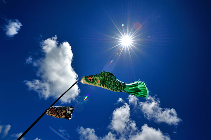 the sky, clouds, the wind, fish, weathervane, HD wallpaper