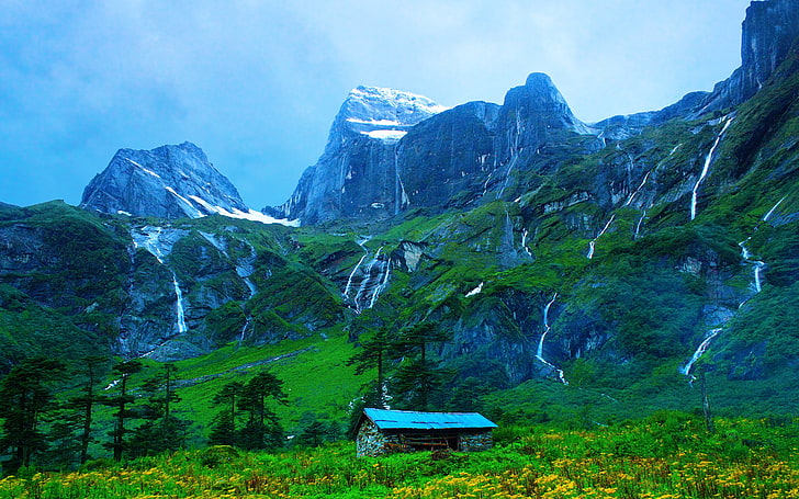 노란 꽃잎 꽃, 네팔, 히말라야, 바룬 계곡, 오두막, 산, HD 배경 화면