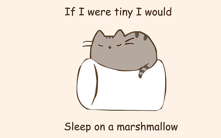 paintings minimalistic text cats quotes marshmallow phrase simple Animals Cats HD Art , cats, text, Quotes, minimalistic, paintings, marshmallow, HD wallpaper