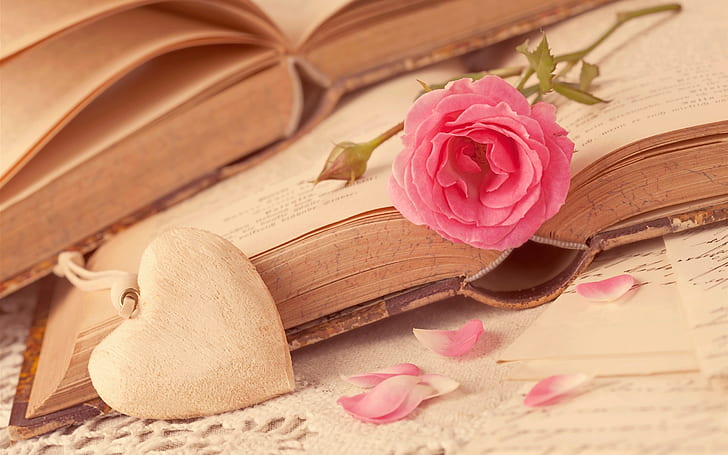 Flor rosa rosa, corazones de amor, libro, rosa, rosa, flor, amor, corazones, libro, Fondo de pantalla HD