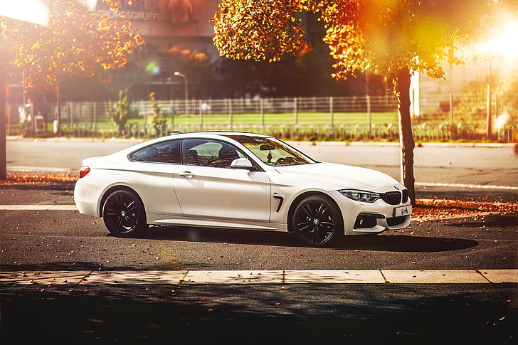 autumn, BMW, white, 4 Series, F32, 420d, HD wallpaper