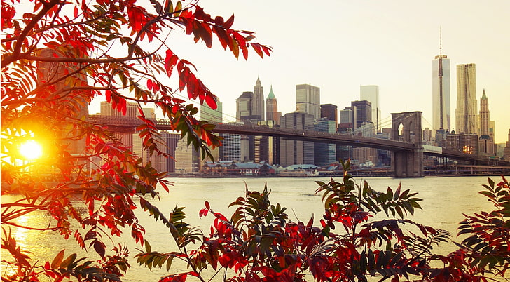 Brooklyn Bridge, New York, red leaves and Brooklyn Bridge, fall, city, New York City, sunlight, bridge, leaves, cityscape, Brooklyn Bridge, HD wallpaper