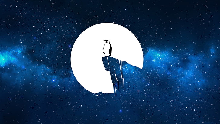 penguin standing on cliff wallpaper, Penguin, vector, galaxy, universe, cliff, Linux, cyan, blue, stars, HD wallpaper