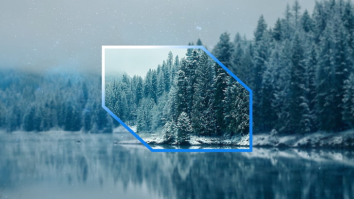 blurred, landscape, winter, trees, space, HD wallpaper