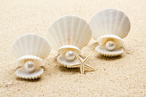 Muschel, Perle, Seestern, Sonnenschein, Strand, Meer, Sand, Muschel, HD-Hintergrundbild HD wallpaper