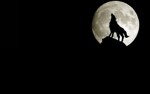 wolf howling on mountain under full moon, rock, the moon, wolf, silhouette, howling, HD wallpaper HD wallpaper