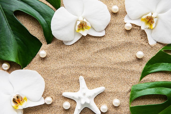 arena, hojas, flores, blanco, orquídea, perlas, spa, estrella de mar, zen, perls, Fondo de pantalla HD