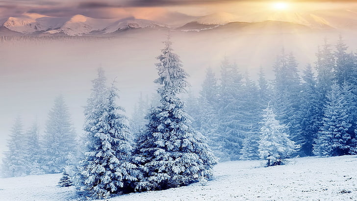 бело-синяя абстрактная живопись, пейзаж, зима, деревья, HD обои