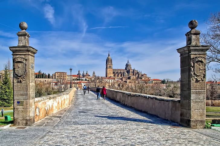 home, Cathedral, Spain, Roman bridge, Salamanca, HD wallpaper