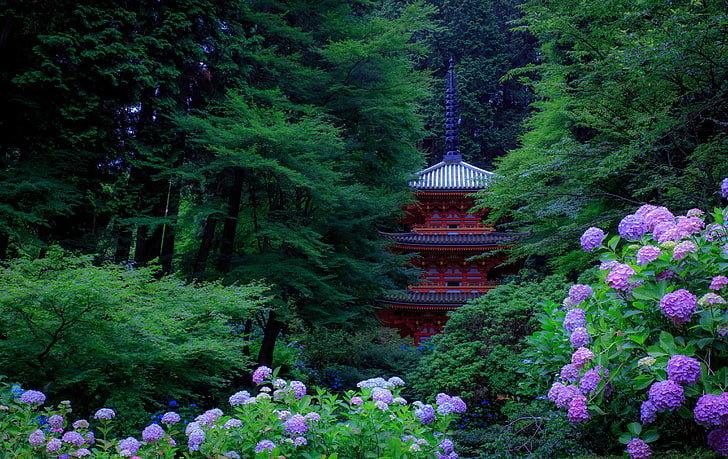 лилави хортензии, зелени, дървета, цветя, парк, Япония, пагода, Киото, храстите, хортензия, HD тапет