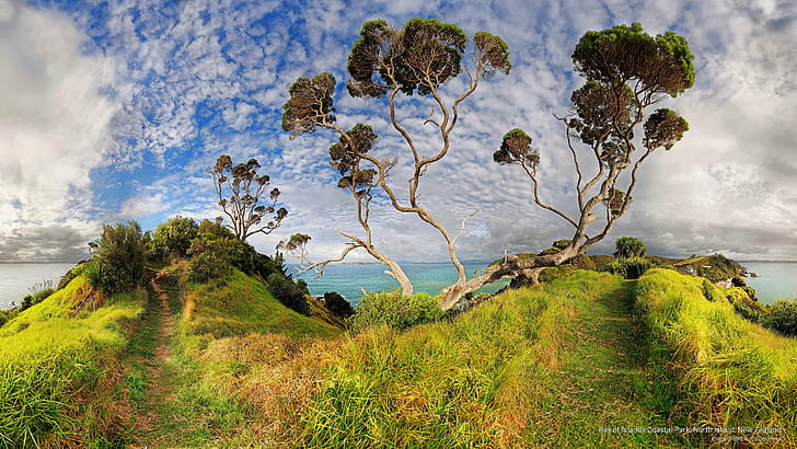 베이 오브 아일랜드 해안 공원, 북섬, 뉴질랜드, 오세아니아, HD 배경 화면