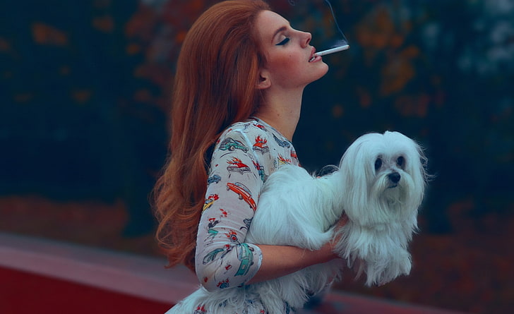 Lana Del Rey - Nationalhymne, erwachsener weißer Malteser, Musik, andere, Hund, 2012, Lied, Lana Del Rey, Nationalhymne, HD-Hintergrundbild