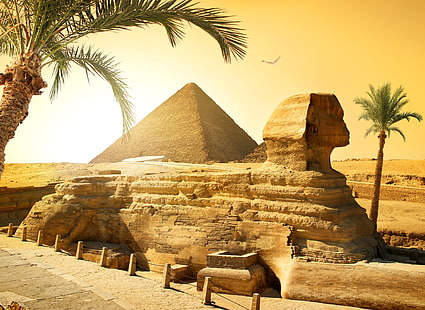 Pyramid, the sun, stones, palm trees, bird, desert, pyramid, Egypt, Sphinx, Cairo, HD wallpaper HD wallpaper
