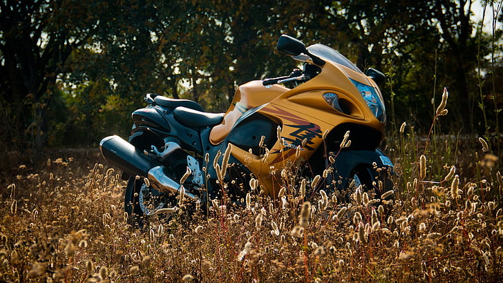 Fahrrad, Hayabusa, Motorrad, Motorrad, Superbike, Suzuki, HD-Hintergrundbild