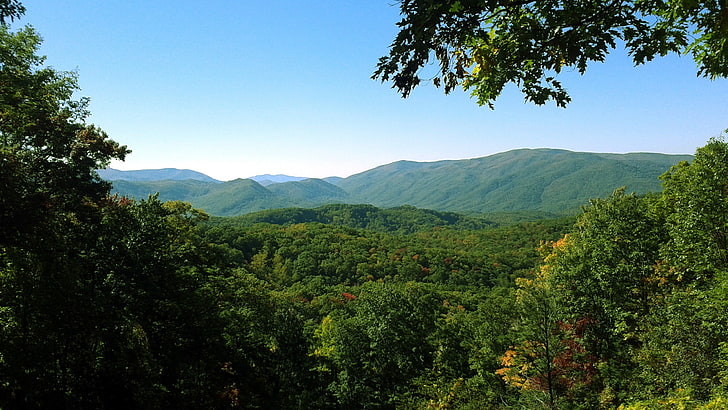 昼間、テネシー州、スモーキー山脈、森林、山、風景の中に森の空中写真、 HDデスクトップの壁紙