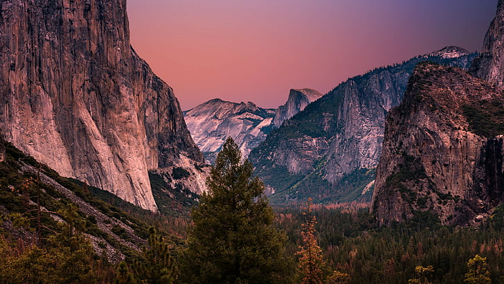halvkupol, kalifornien, Yosemite Valley Tunnel View, Cliff, United States, Canyon, Escarpment, morgon, träd, sten, Tunnel View, Yosemite Valley, berg, himmel, vildmark, natur, dal, rosa himmel, lila himmel, National Park Yosemite Nationalpark, HD tapet